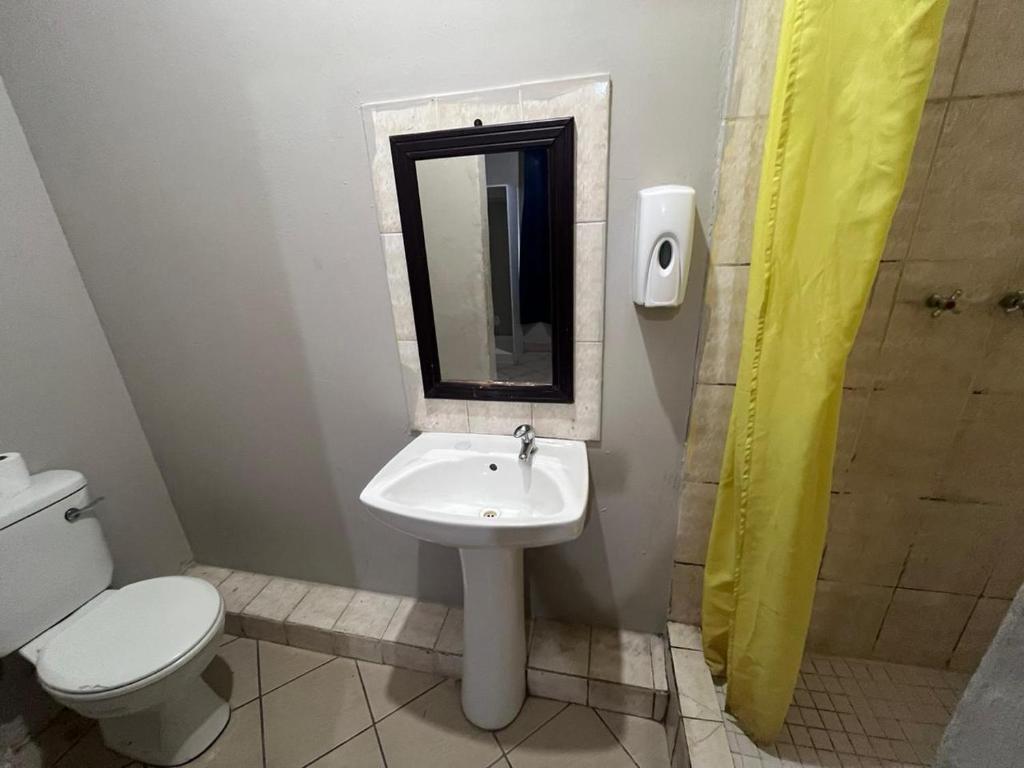 a bathroom with a sink and a toilet and a mirror at Mabhida Guesthouse in Durban
