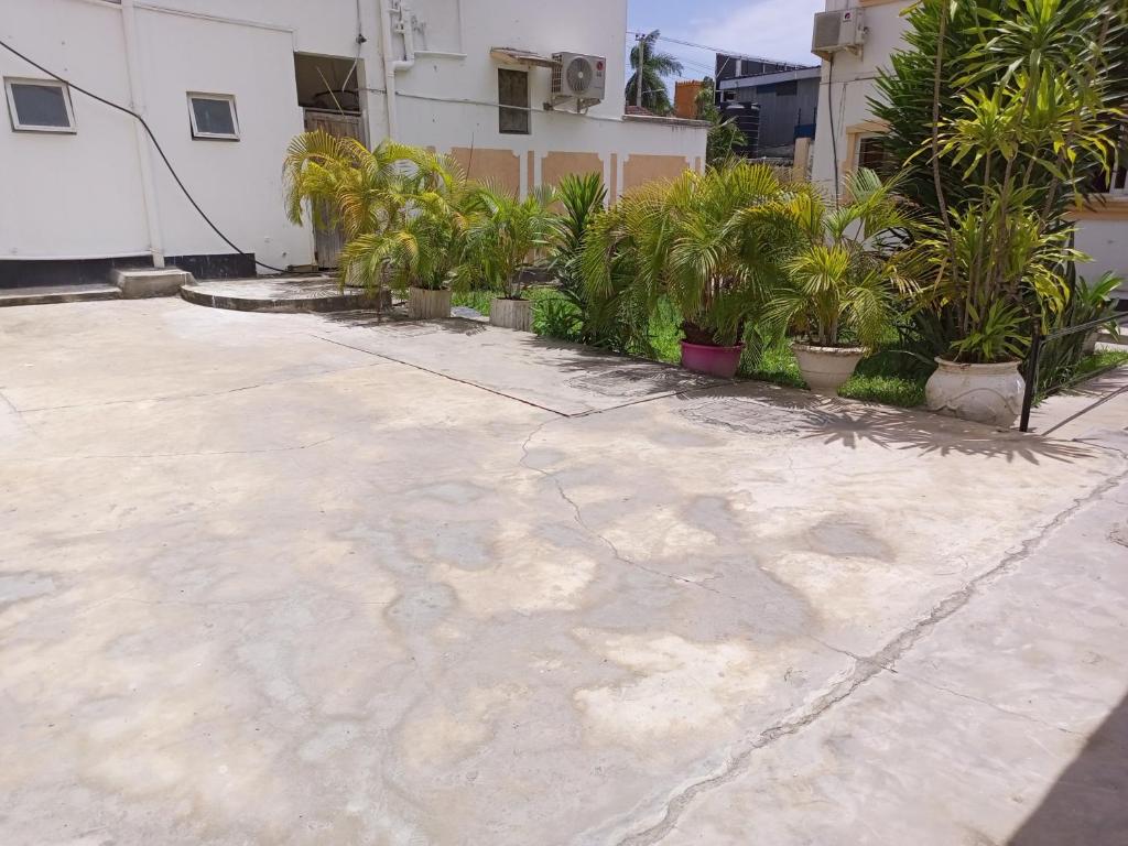 un patio con palmeras y un edificio en Cathys Studio Apartment en Mombasa