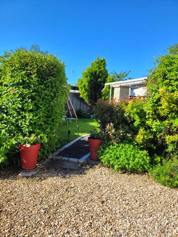 a garden with two hedges and two plants at Chambre chez l'habitant in Aubigny-sur-Nère