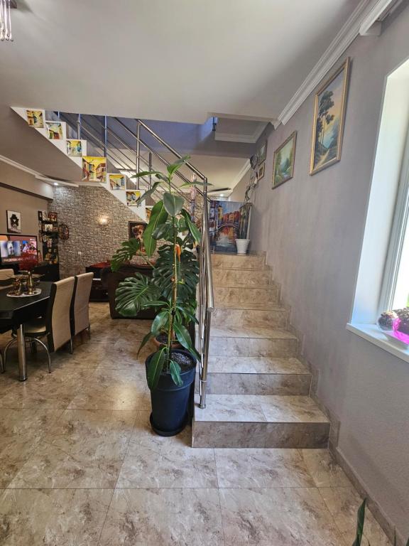 Foto de la galeria de Guesthouse different a Tbilisi