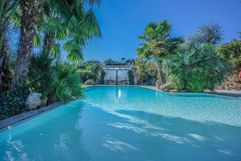 een groot zwembad met blauw water en palmbomen bij Pozzo Antico in Morlupo