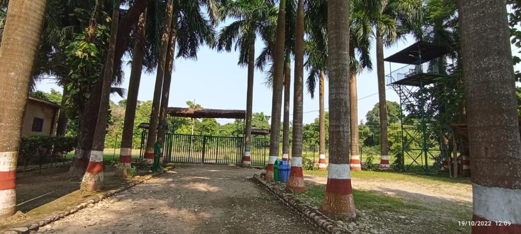 una puerta con palmeras en un parque en Samarth Resort, en Bhurkīā