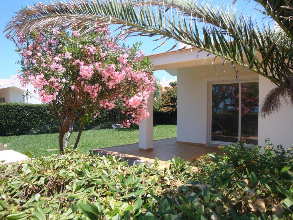 une maison avec un arbre à fleurs rose dans la cour dans l'établissement Cala Vigliena Il Sole Negli Occhi, à Punta Braccetto
