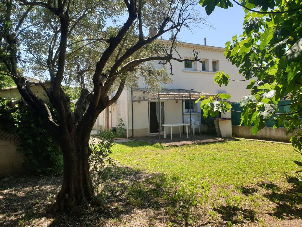 una casa con un albero nel cortile di Orteils au soleil jardin parking a Nîmes
