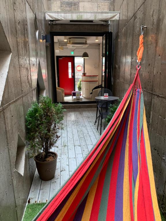 Fotografie z fotogalerie ubytování Mir Guesthouse v destinaci Čedžu