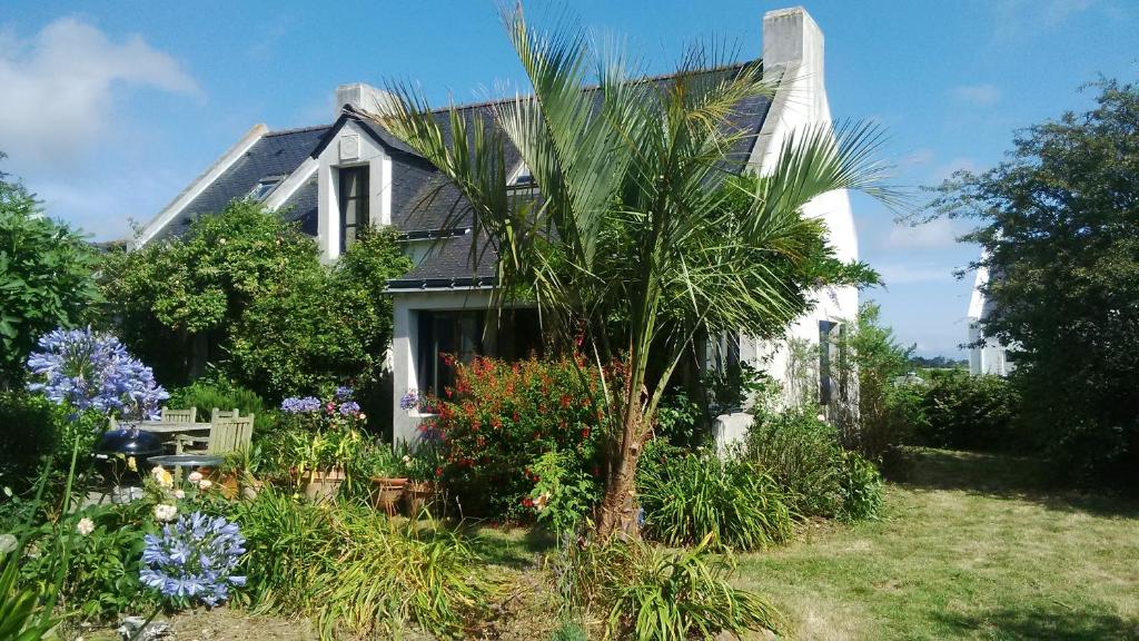 uma casa com uma palmeira no quintal em Villa Kerguénolé em Bangor