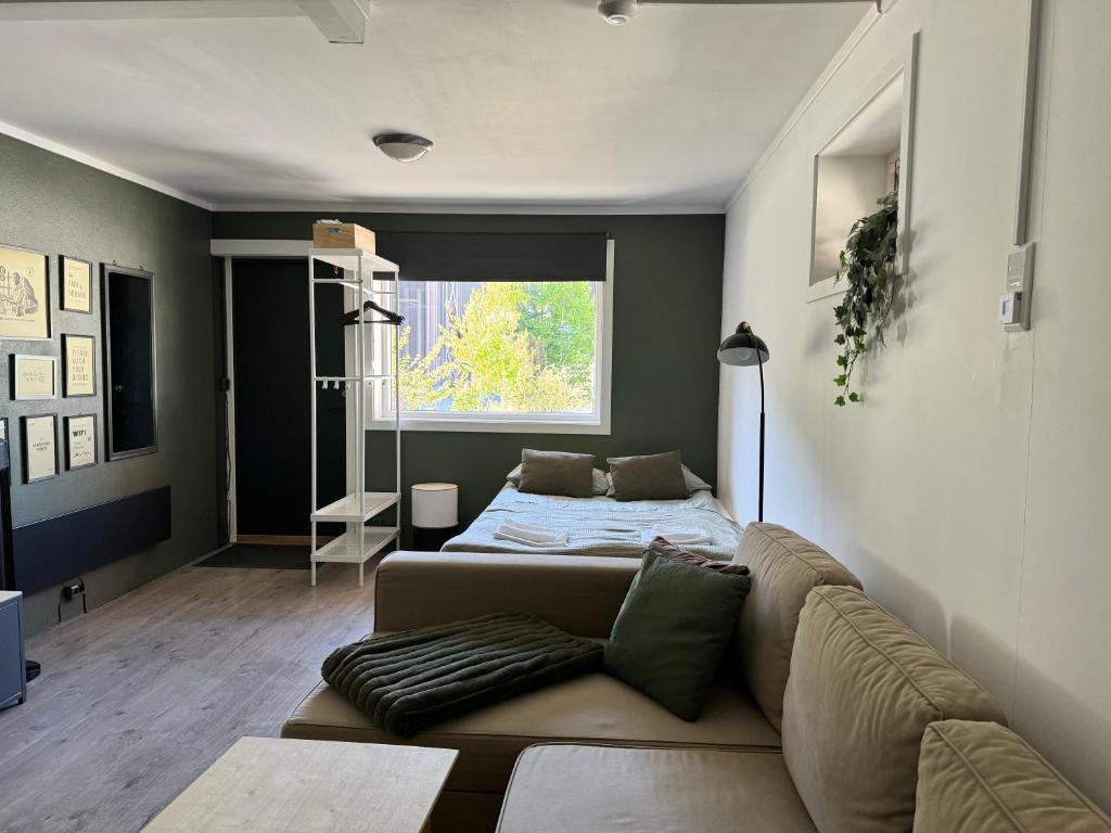 Sentrumsvegen - Private Studio Apartment in Gol في غول: غرفة معيشة مع أريكة وسرير