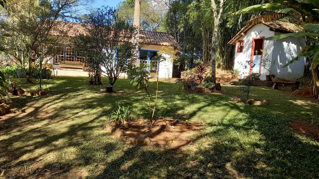 a house with a palm tree in the yard at Casa Verde-Casa de Temporada no Bichinho in Bichinho