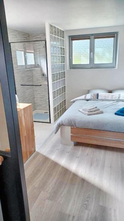 una camera con letto e cabina doccia di Appartement d'une chambre avec terrasse amenagee et wifi a Publier a 3 km de la plage a Publier
