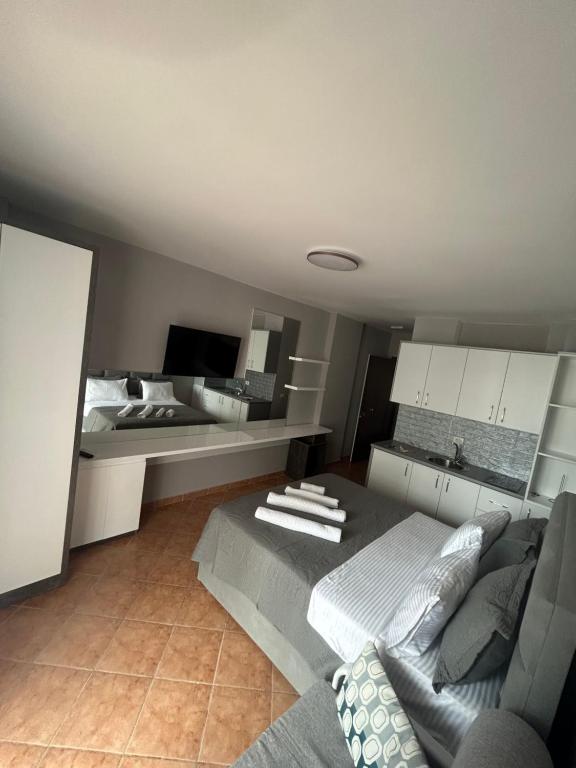 Kuchyň nebo kuchyňský kout v ubytování Apartament Raci