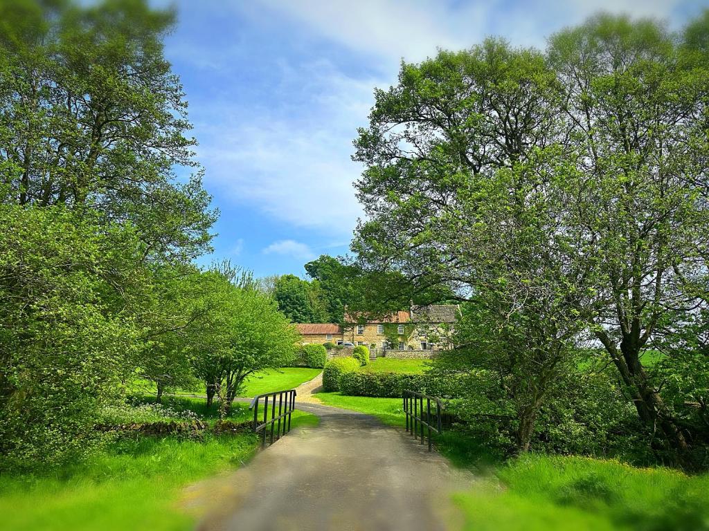 uma estrada de terra através de um campo com árvores e uma cerca em Old Orchard Cottage, Wykeham em Scarborough