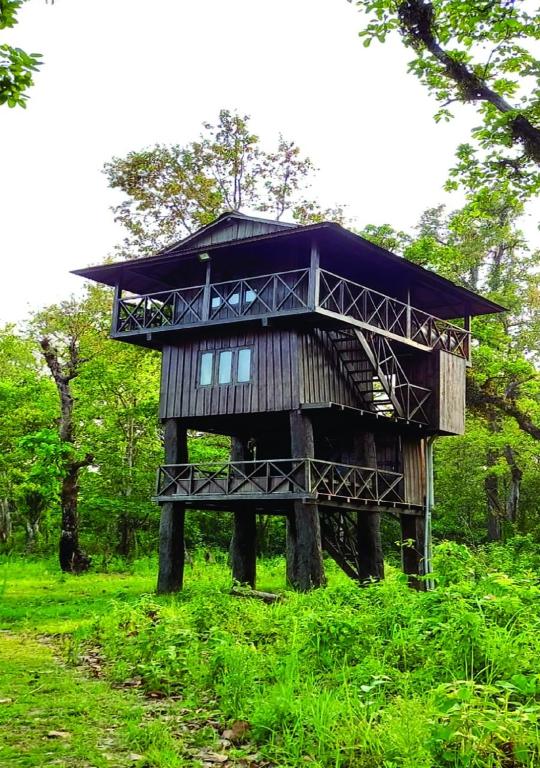 Zahrada ubytování Wild Horizons Guest House