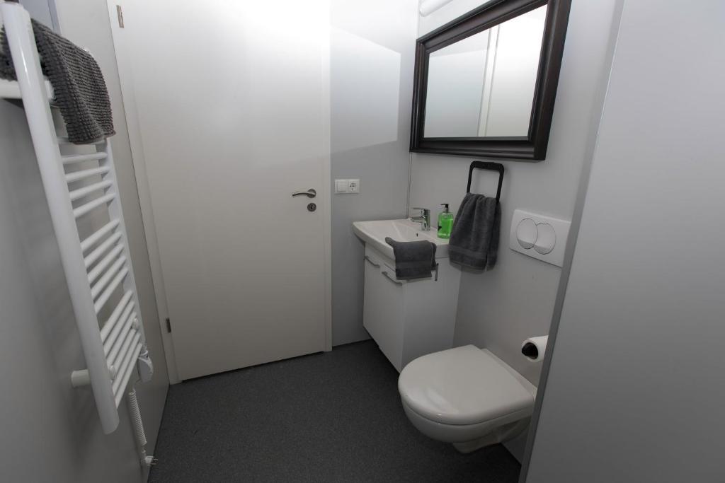 a small bathroom with a toilet and a window at Dis Cottages in Grundarfjordur
