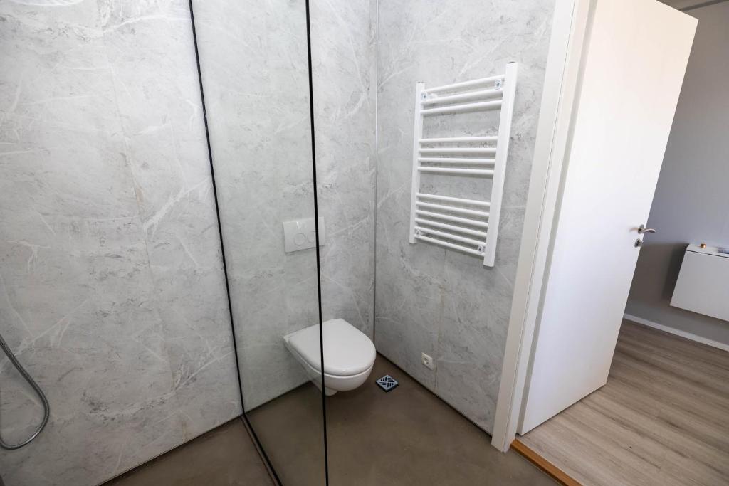 a bathroom with a toilet and a shower at Dis Cottages in Grundarfjordur