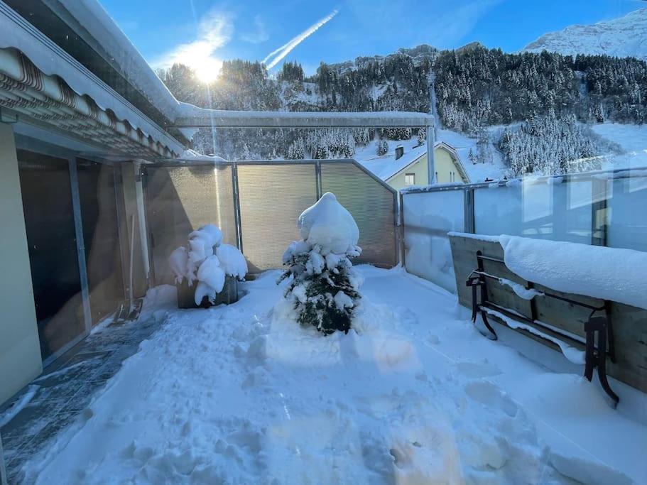 Titlis Lodge Engelberg v zimě