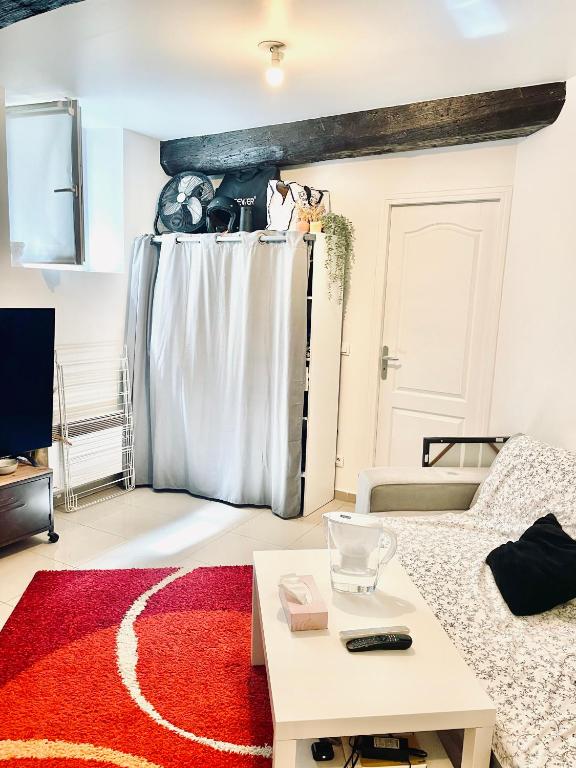 un salon avec un canapé et un tapis rouge dans l'établissement Nid douillet parisien, à Paris