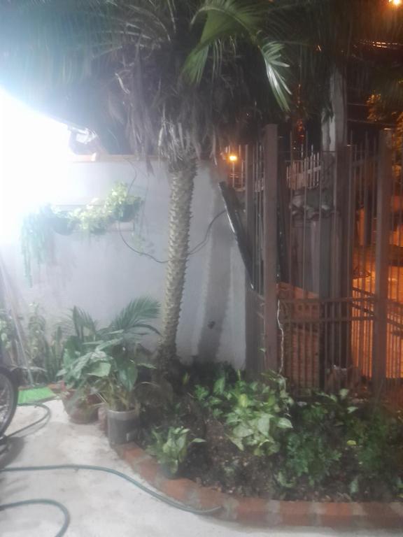 Taman di luar Casa luiza