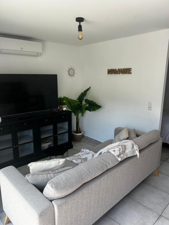 Maisonnette 32m2 climatisé avec jacuzzi au calme. - Maison D'une Chambre