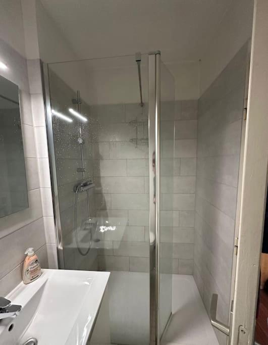 une douche en verre dans une salle de bain avec un lavabo dans l'établissement Cozy Apartment in Central Strasbourg, à Strasbourg