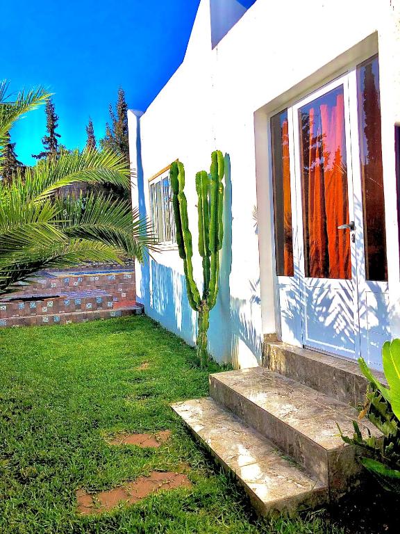 a cactus next to a white house with stairs at Villa Aguirar in Essaouira