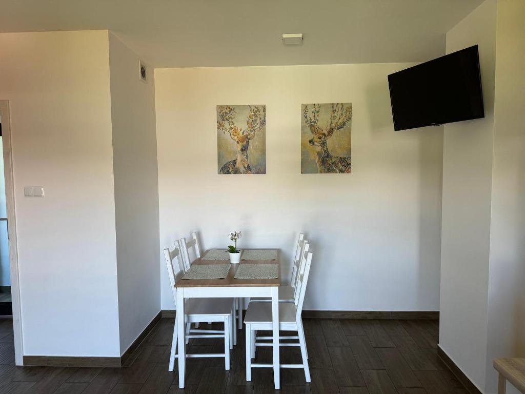 Apartamenty ZATOR20 2 min od Energylandii - 10