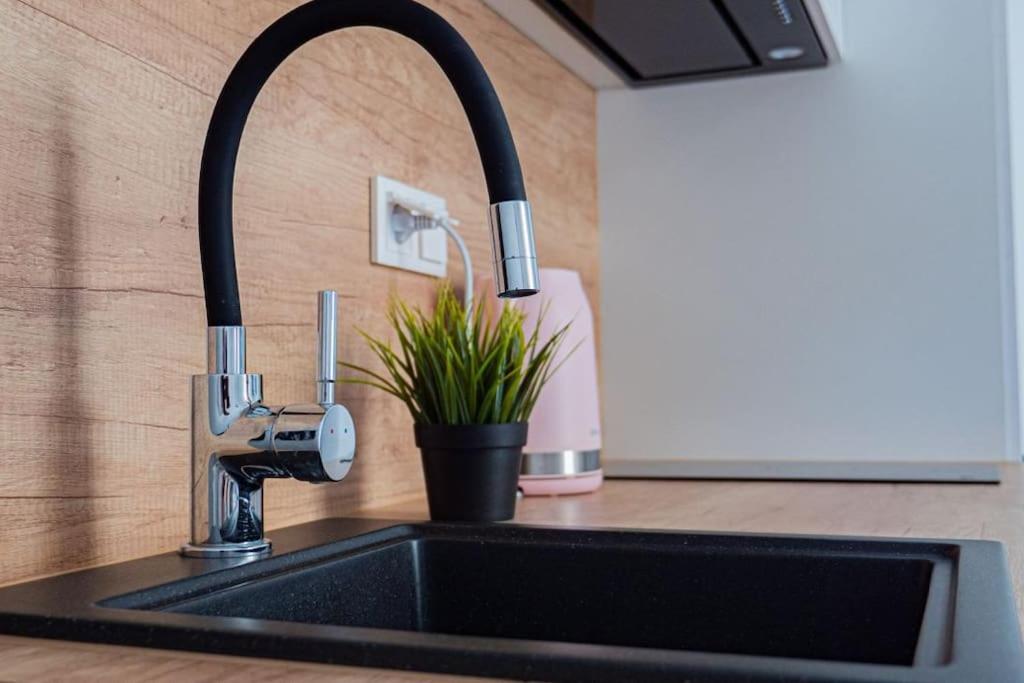 ワルシャワにあるMini kawalerka w samym Centrum Warszawyの洗面台(蛇口、植物付)