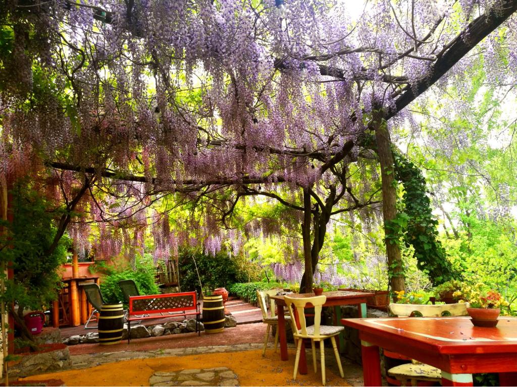 un patio con un árbol con flores púrpuras. en Krasberry en Komen