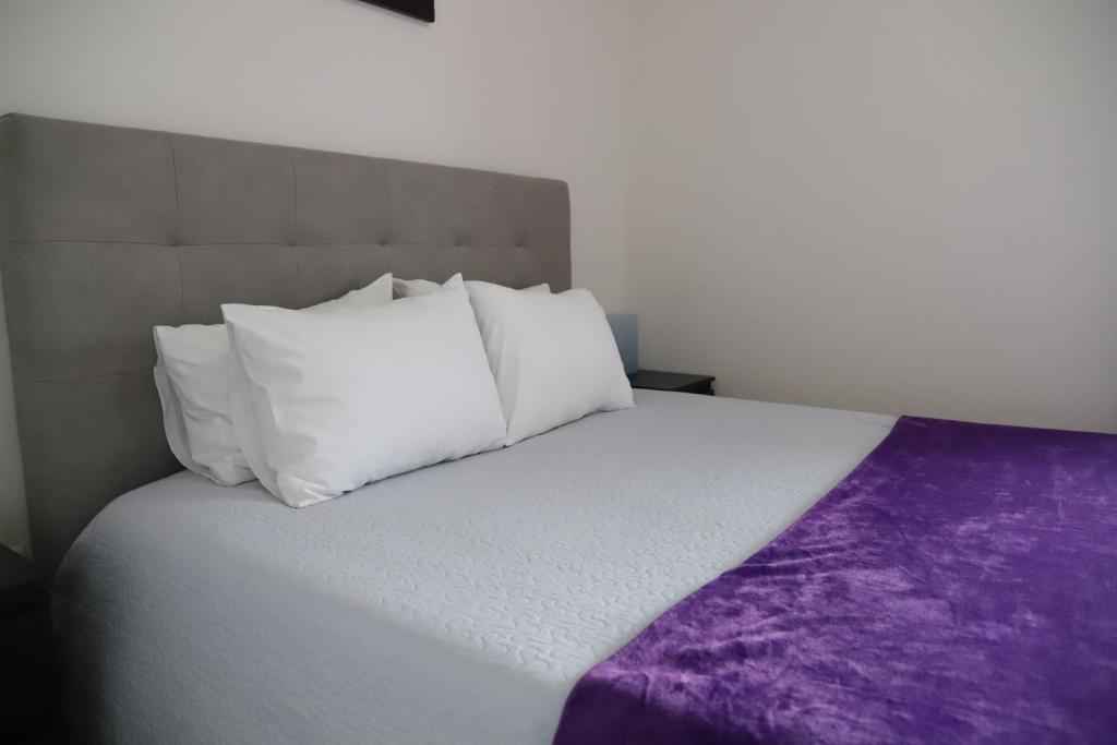 Casa Vale do Douro - 11