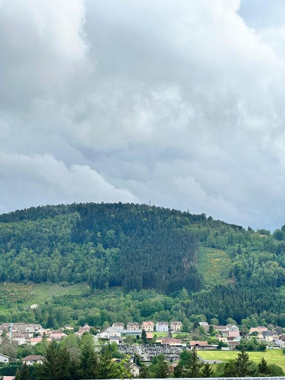 Příroda nedaleko apartmánu