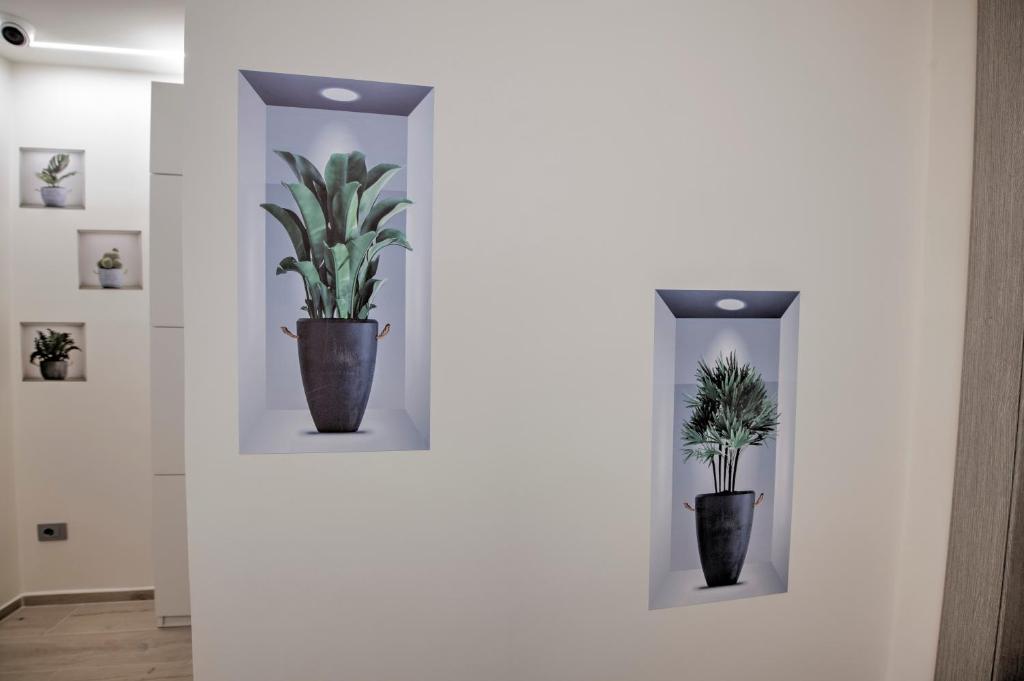 Fotografie z fotogalerie ubytování 241 - Camera Nord Est - Affittacamere Sara Home Chiavari, 200Metri dal Mare v destinaci Chiavari