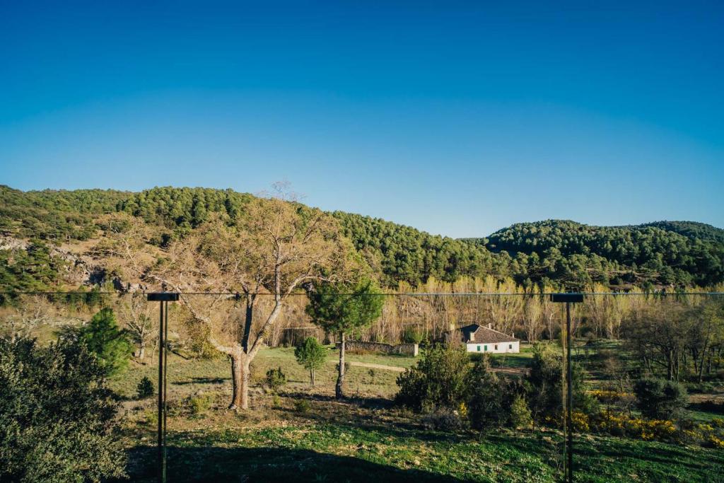 Pachán Dehesa Boyal - 17