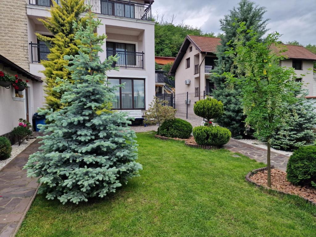 Zahrada ubytování Casa Andrei