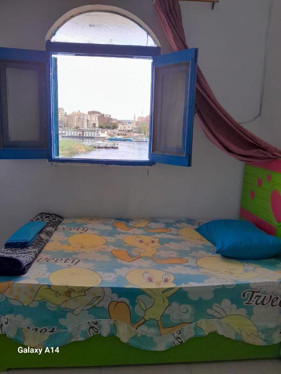Postel nebo postele na pokoji v ubytování NiLe ViEW RANA NUbian Guest HOUES