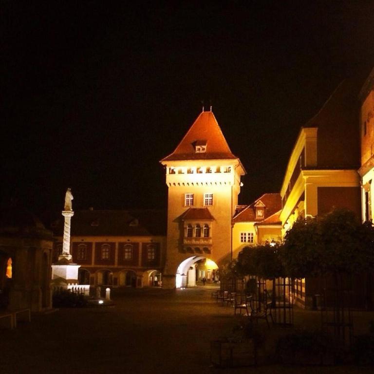 Fotografia z galérie ubytovania Modern Medival v destinácii Kőszeg