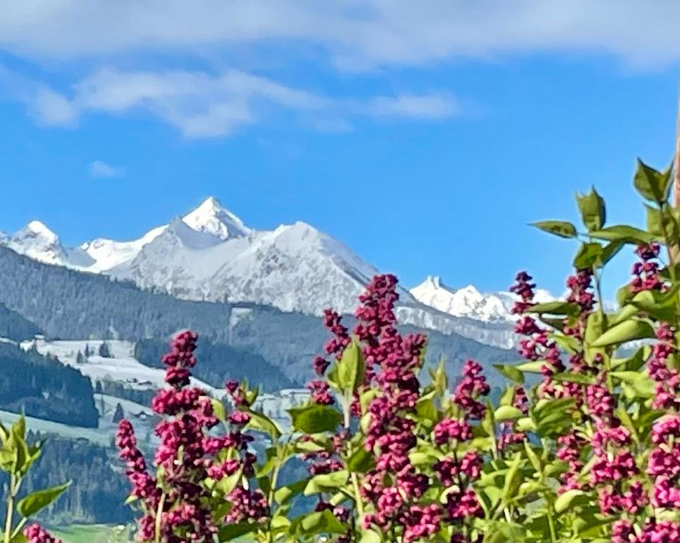 Nespecifikovaný výhled na hory nebo výhled na hory při pohledu z bed and breakfast