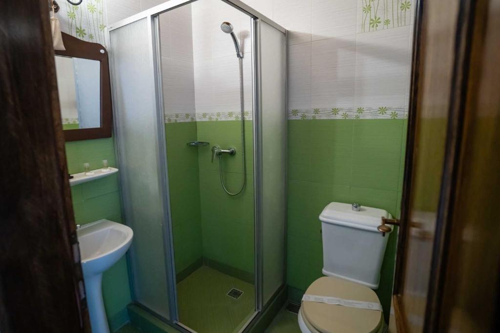 a bathroom with a shower and a toilet and a sink at Hanul Almaș in Deva