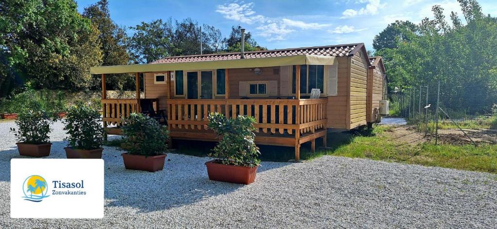 a wooden cabin with potted plants in front of it at Campsitechalet in Viareggio near sea incl airco in Viareggio