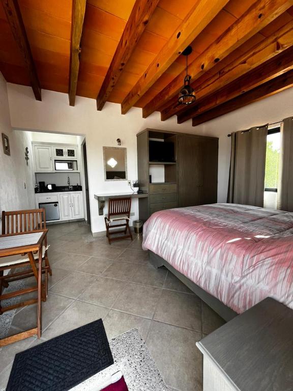 Kuchyň nebo kuchyňský kout v ubytování Rancho Labradores