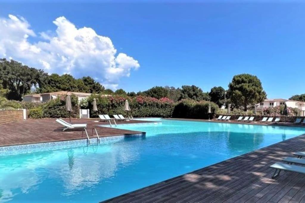une grande piscine avec de l'eau bleue et des chaises longues dans l'établissement Location T2 premium 44 m2 Cala rossa à 800 m de la plage, à Lecci