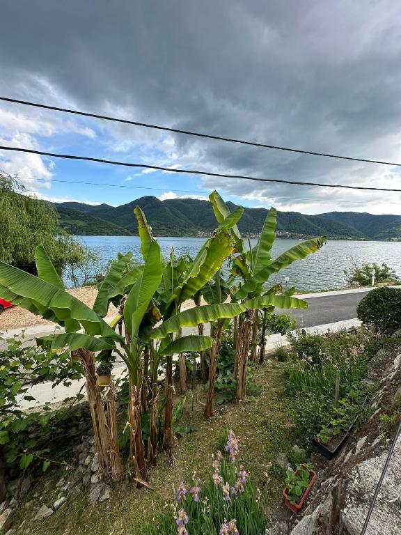 度假屋周边自然景观