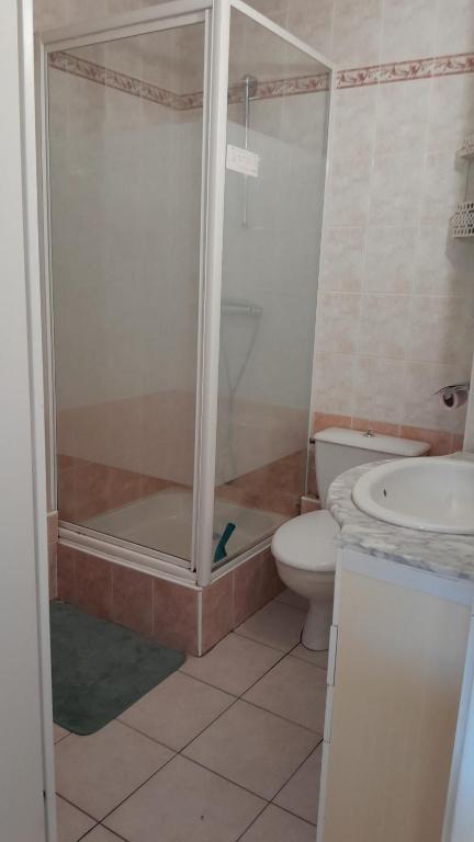 a bathroom with a shower and a toilet and a sink at Appartement Saint cyprien plage in Saint-Cyprien
