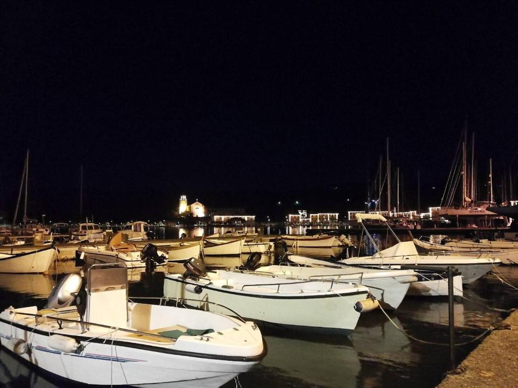 a group of boats docked in a harbor at night at Casa ANNA, casa tua in Le Grazie