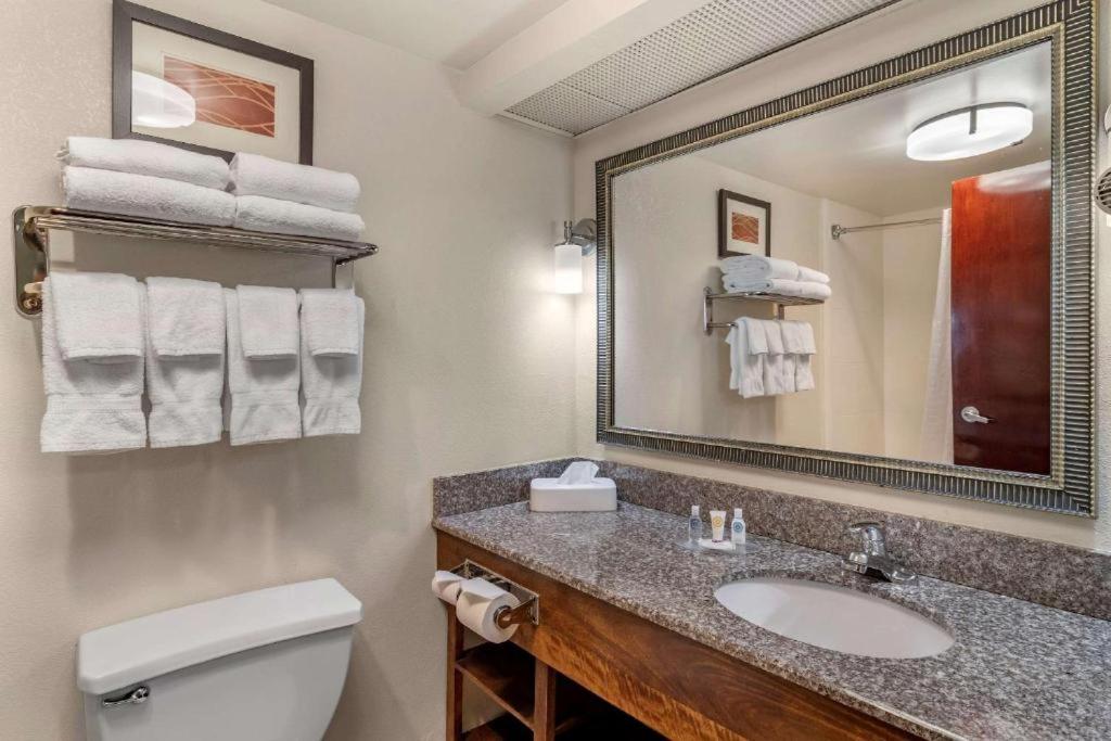 a bathroom with a sink and a mirror and a toilet at Comfort Inn & Suites Athens North in Athens