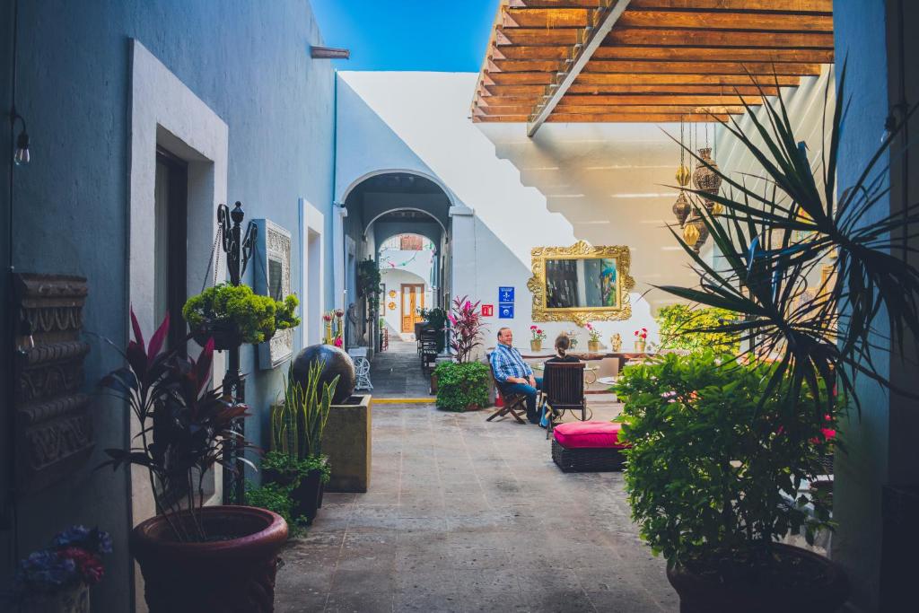 Zahrada ubytování Hotel Boutique Casa Altamira