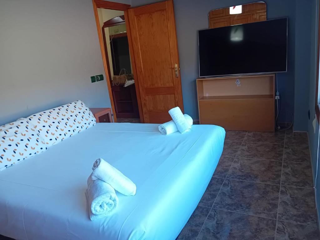 ein Hotelzimmer mit einem Bett und einem Flachbild-TV in der Unterkunft Rocio del Mar in Pontevedra