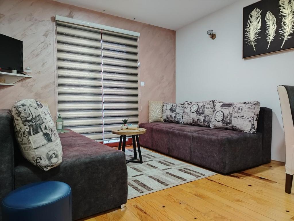 a living room with a couch and a table at Simic Apartmani Tara in Kaludjerske Bare