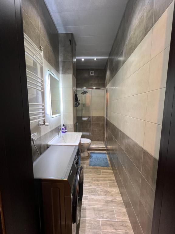 Koupelna v ubytování Apartment Merabi