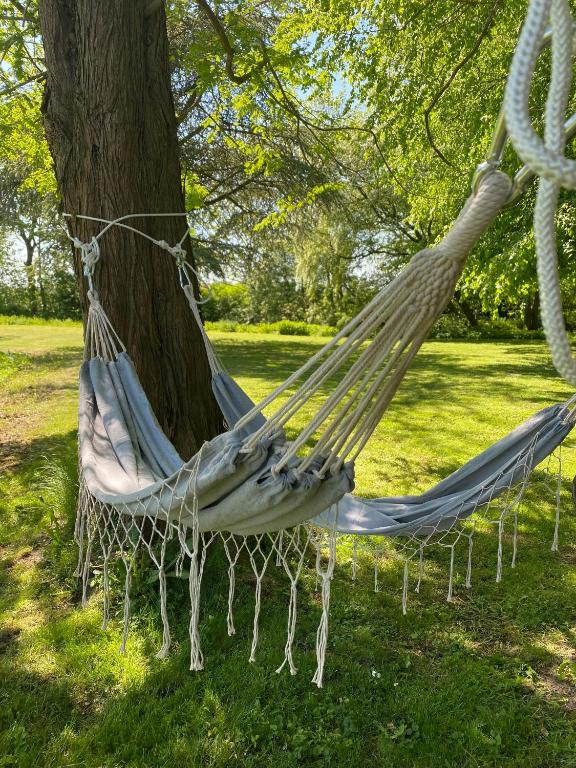Zahrada ubytování Green Glamping