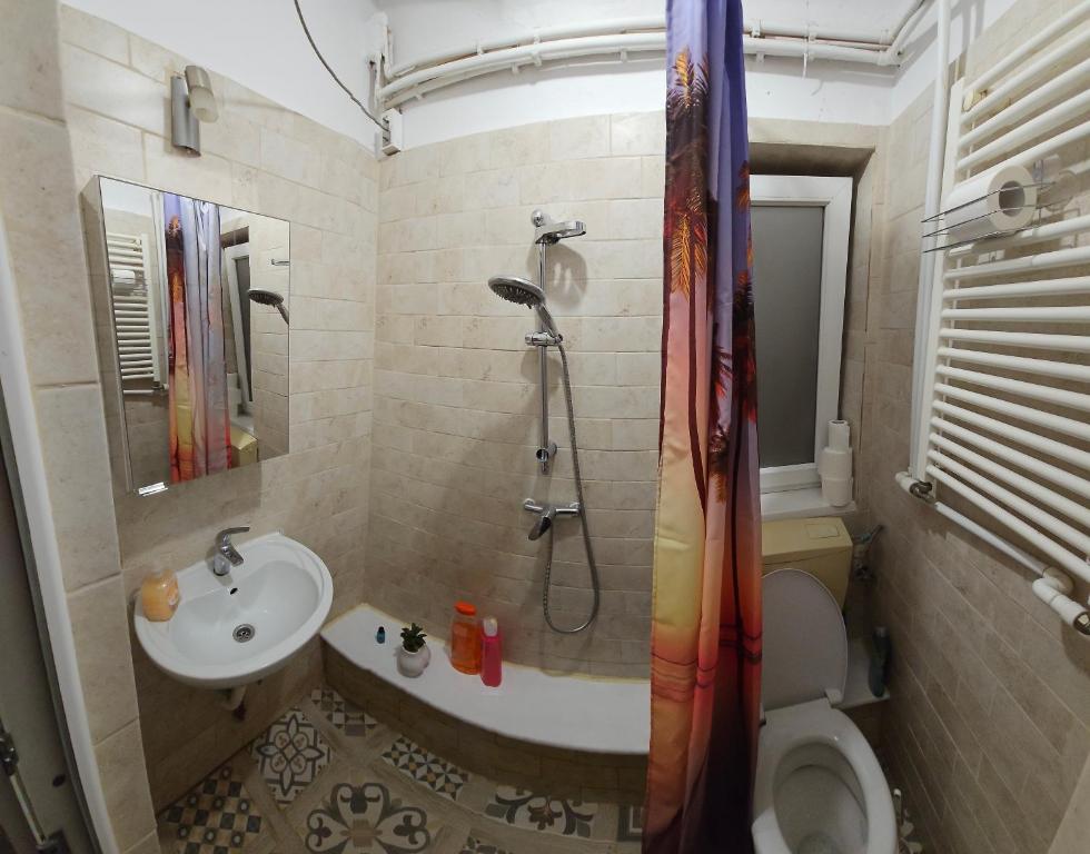 a bathroom with a sink and a toilet and a shower at Private room at Ceausescu's place in Old City Unirii Square in Bucharest