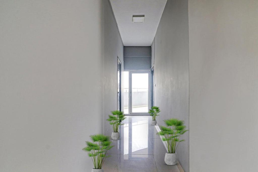 a hallway with three potted plants and a window at Townhouse De Alphabet in Hyderabad